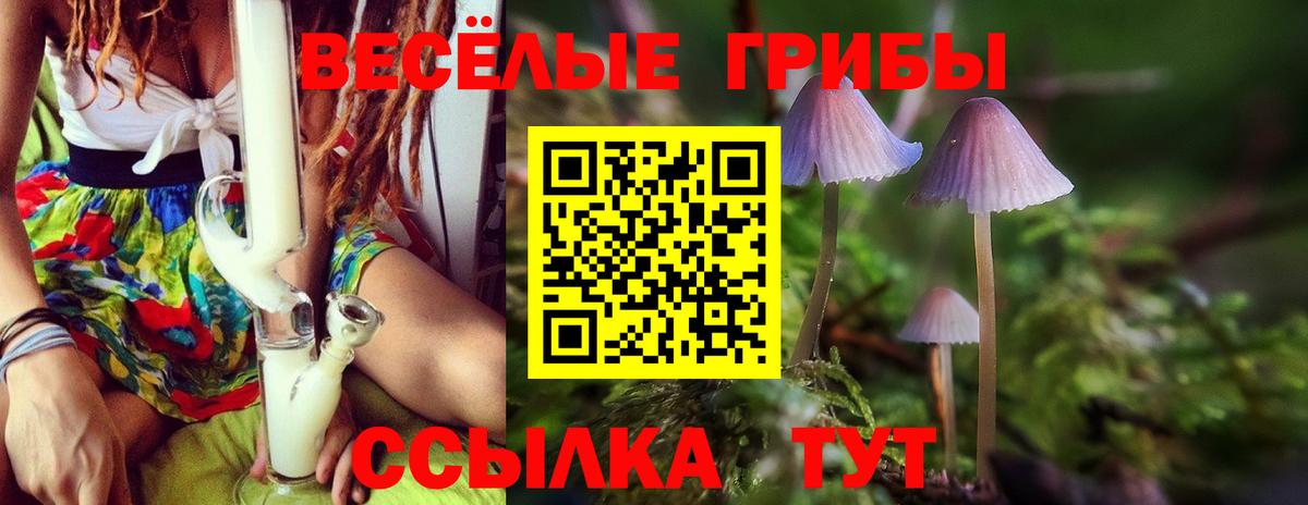 цена   Вход с VPN  Галлюциногенные грибы Magic Shrooms  Хабаровск  Псилоцибиновые грибы мицелий 